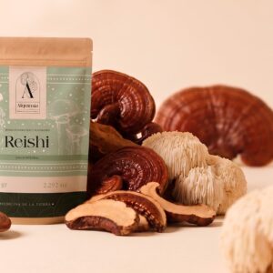 Reishi: Salud integral